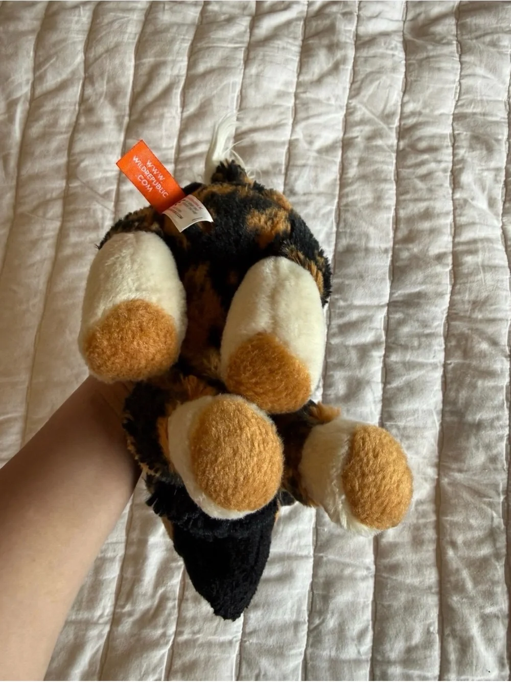 Wild Republic Cuddlekins African Wild Dog Plush Stuffed Animal 12”